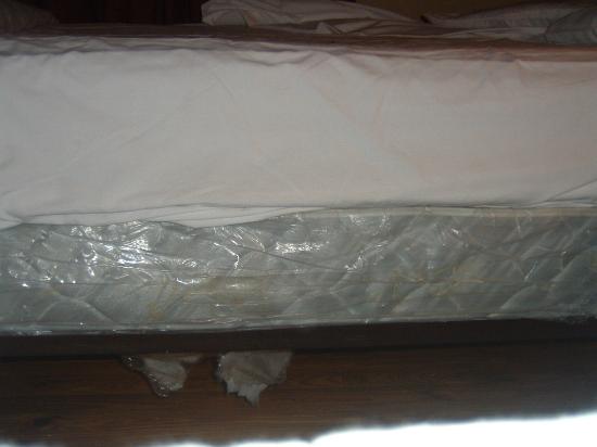 Top 10 Dirtiest Hotels in America