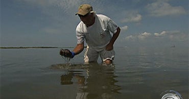 Oil Under the Water May Be Worse Than Thought - CBS News