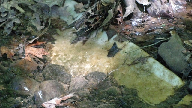 Arlington Cemetery headstone 
