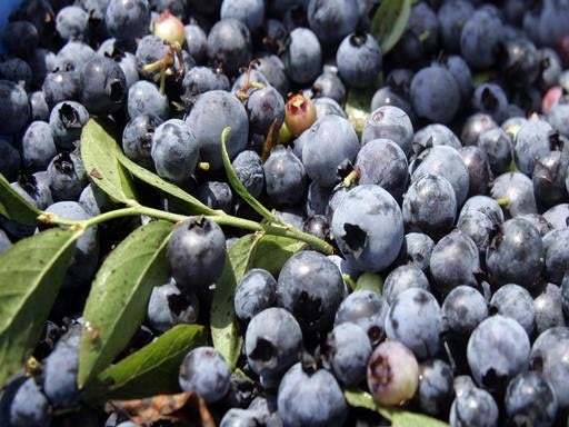 Pesticides in produce Environmental Working Group's "Dirty Dozen"