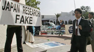 An activist shows a banner as Japan's fishery Minister Yasue Funayama, right, arrives with members of her delegation at the 62nd International Whaling Commission in Agadir, Morocco, Monday, June 21, 2010. 