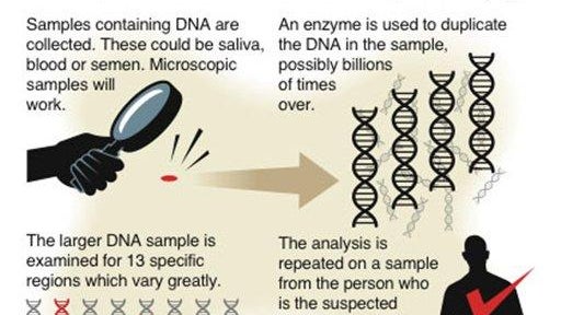 DNA TESTING 
