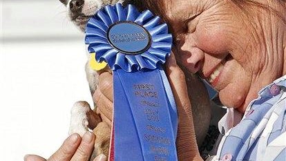 Kathleen Francis, Princess Abby the Chihuahua 