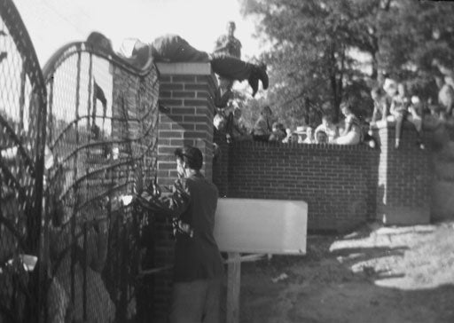 Rare New Photos of Elvis Uncovered [Pictures] CBS News