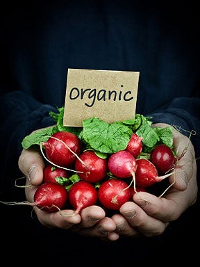 istockphoto-organic.jpg 