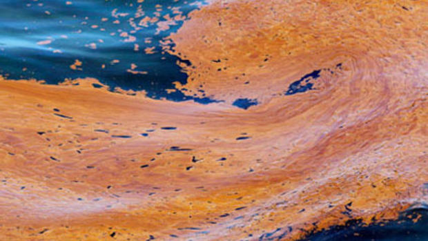 Oil Spill: 100 Days, 100 Photos 