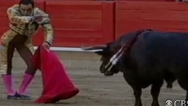 hamilton_bullfighting_0728.jpg 