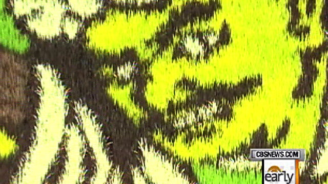 es_0728_RICE_ART_02.jpg 