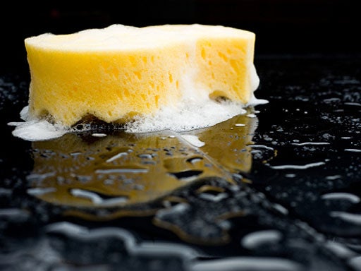 car wash, sponge, generic, stock 