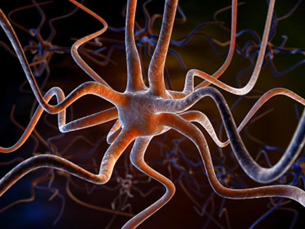 neuron, alzheimer&amp;#39;s, brain, disease, generic, stock 