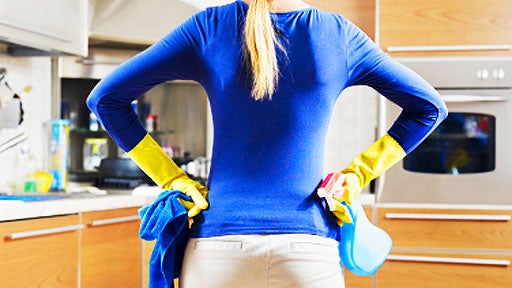 clean, cleaning, house, housewife, bedbugs, bedbug, generic, stock 