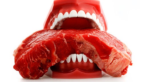 dentures, teeth, meat, food safety, generic, stock 