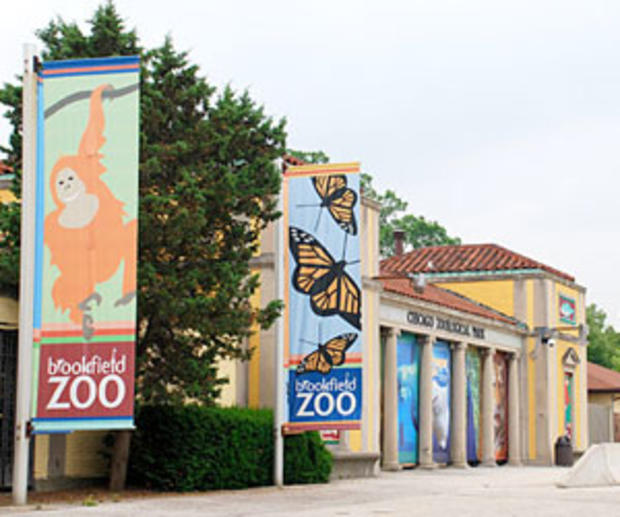 Brookfield Zoo 