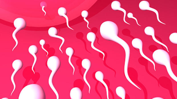 Sperm: 15 crazy things you should know 