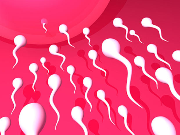 sperm 