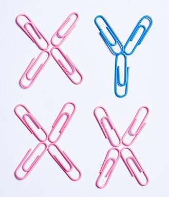xy chromosome, y chromsome