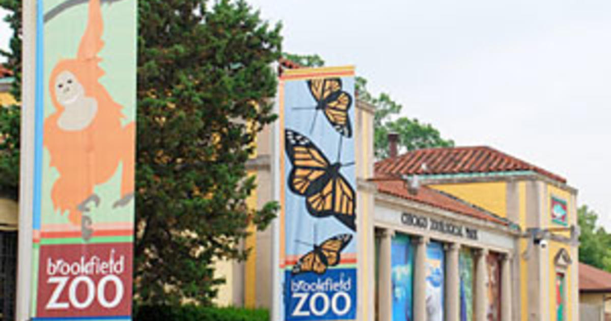 Brookfield Zoo Hosting Blood Drive Wednesday; Free Admission With