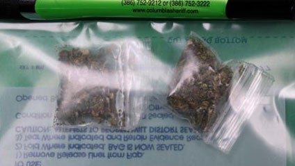 3-Year-Old Preschooler Found With Pot in Florida Elementary School 