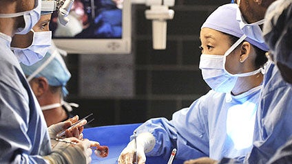 greys_424.jpg 