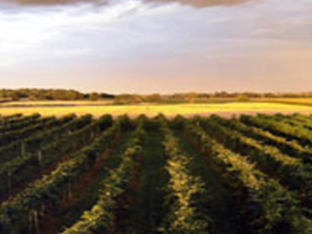 Prairie State Winery 