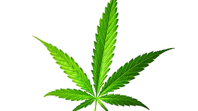 Why can pot make you paranoid? CBS News