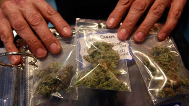 Mass. Cleanup Crew Finds Bag Full Of Pot In River 