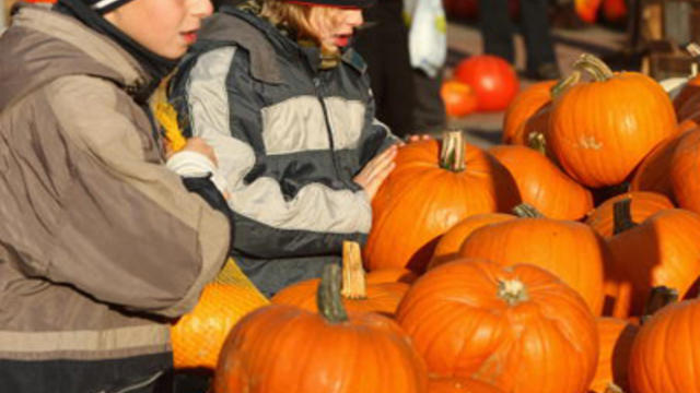 pumpkins-kids-feature.jpg 
