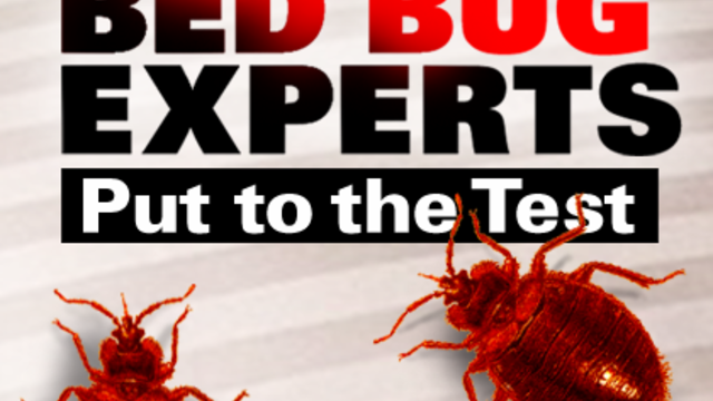 web_bed_bug_experts_put_to_the_test.png 