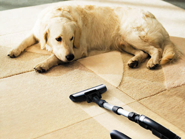 dog vacuum cleaner 