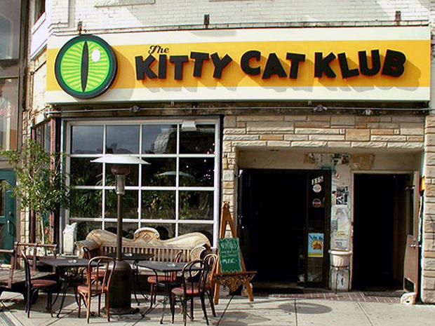 Kitty Cat Klub 