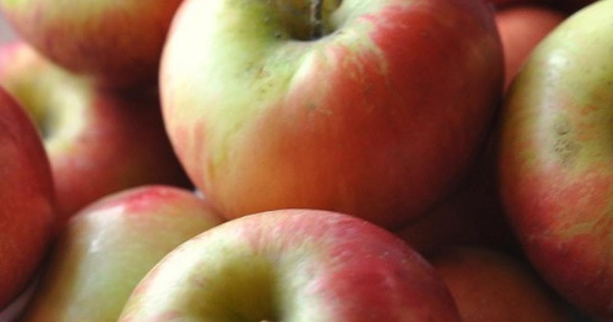 Organic Honeycrisp vs XL Honeycrisps : r/Apples