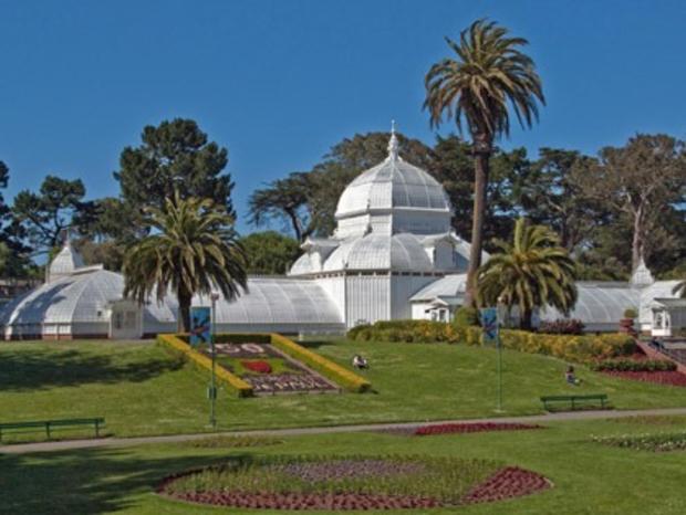 Conservatory of Flowers 
