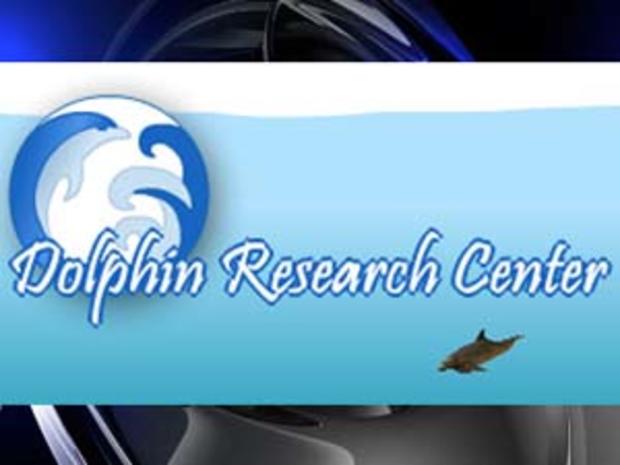 Dolphin Research Center 