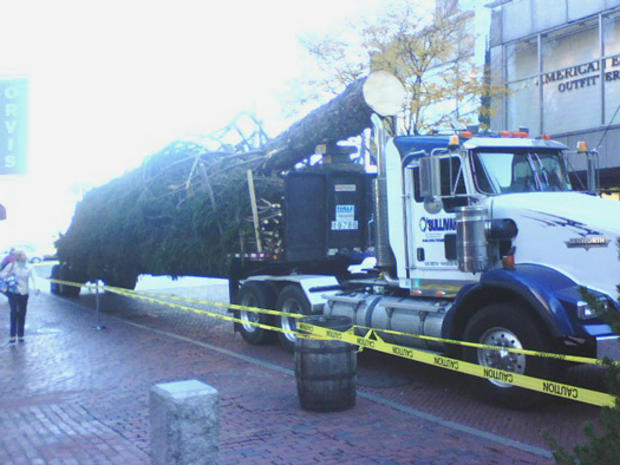 Faneuil Hall Christmas tree arrives on a truck 