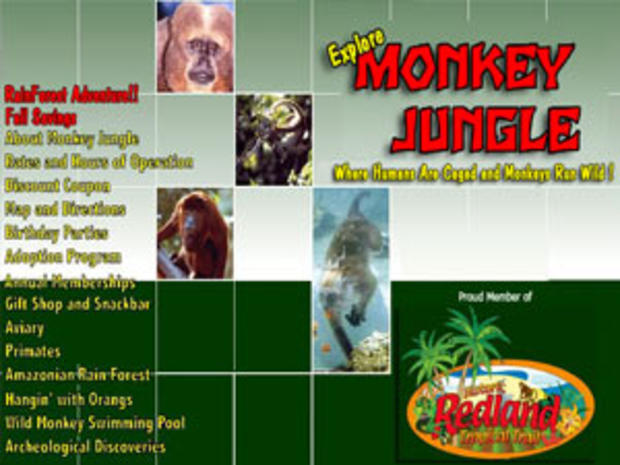 monkey jungle website 