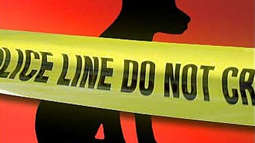 Man Makes Puppy Drink Vodka, Goes to Jail 