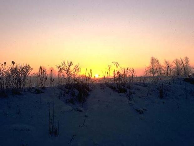 Winter Sunrise 