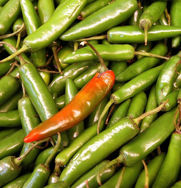 jalapeno-peppers.jpg 