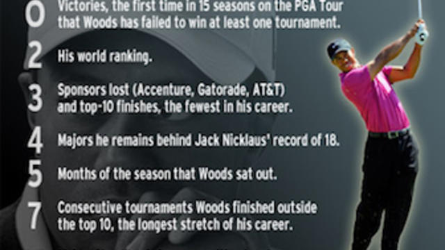 tiger-by-the-numbers.jpg 