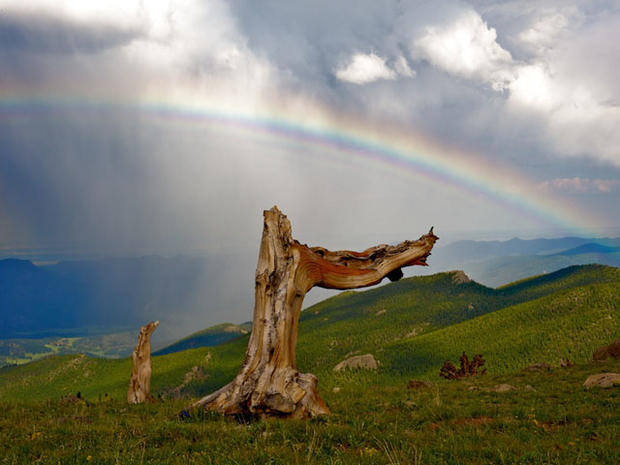 mount-goliath-rainbow.jpg 
