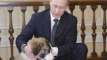 Putin_Dog 