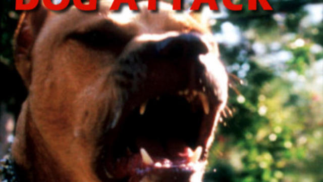 dog-attack.jpg 