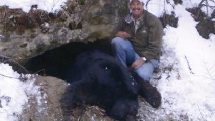 Colorado Hunter Under Fire for Tracking 700-Pound Bear to Its Den before Shooting It 