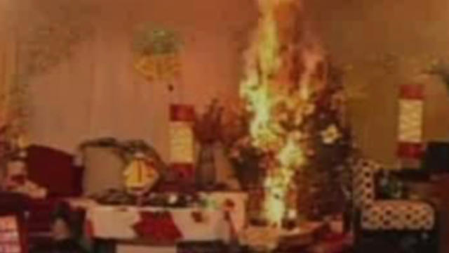 christmas-tree-fire-hazard.jpg 