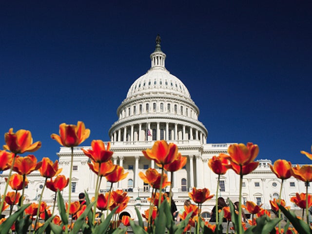 washington d.c., washington dc, capitol building, spring, generic, 4x3 