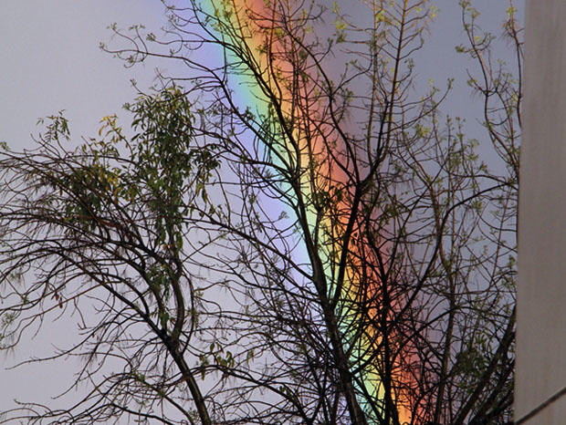 rainbow-over-trees-02-edit.jpg 