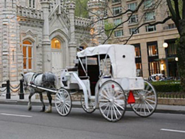 Chicago Carriage 