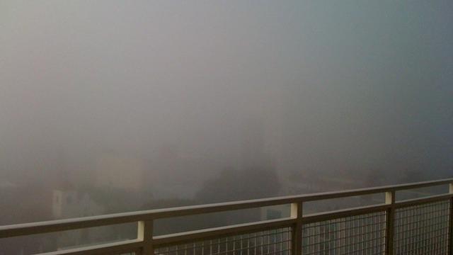 fog_miami_balconyview.jpg 