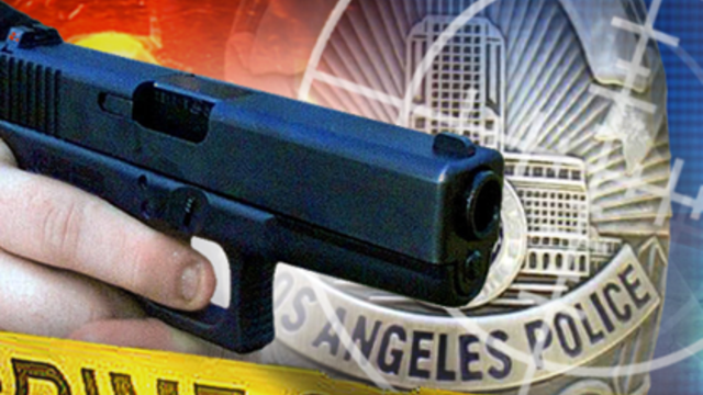generic_graphic_crime_lapd_ois_shooting.png 
