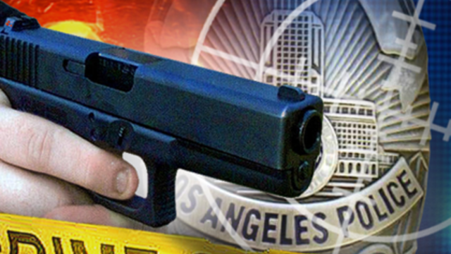 generic_graphic_crime_lapd_ois_shooting1.png 
